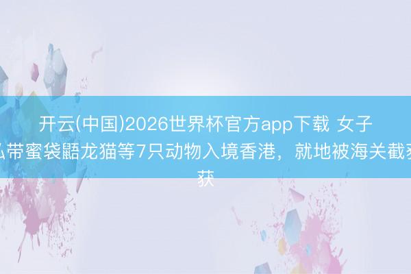 开云(中国)2026世界杯官方app下载 女子私带蜜袋鼯龙猫等7只动物入境香港，就地被海关截获