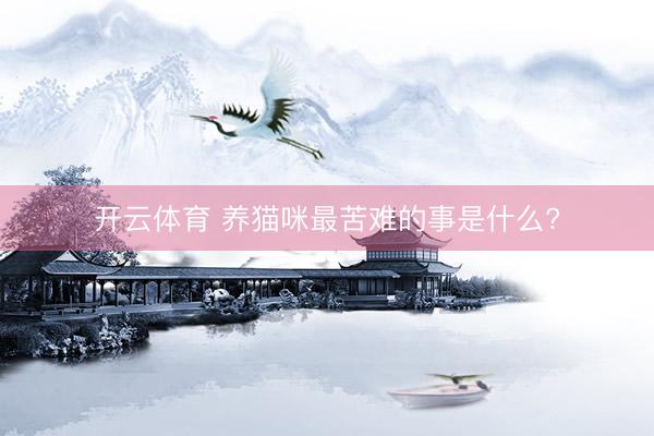 开云体育 养猫咪最苦难的事是什么?