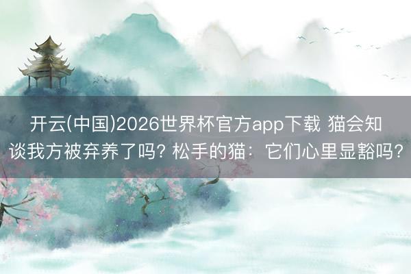 开云(中国)2026世界杯官方app下载 猫会知谈我方被弃养了吗? 松手的猫：它们心里显豁吗?
