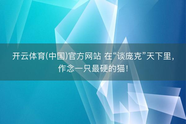 开云体育(中国)官方网站 在“谈庞克”天下里,作念一只最硬的猫!