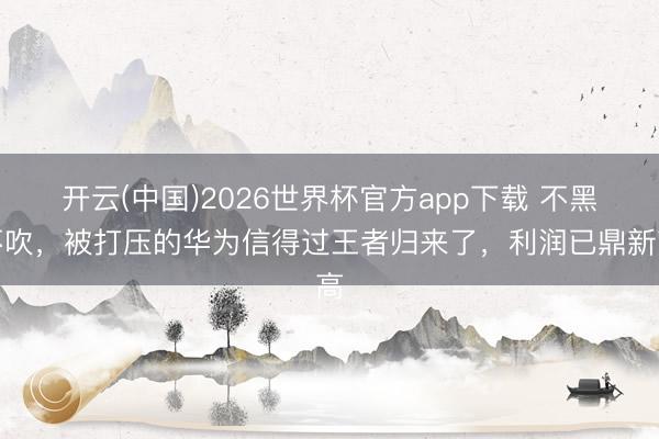 开云(中国)2026世界杯官方app下载 不黑不吹，被打压的华为信得过王者归来了，利润已鼎新高