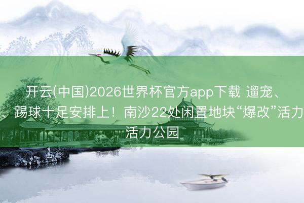 开云(中国)2026世界杯官方app下载 遛宠、逛集、踢球十足安排上！南沙22处闲置地块“爆改”活力公园